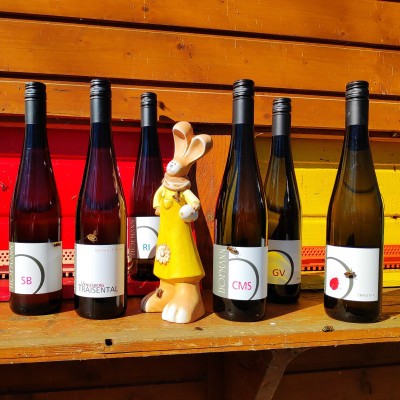 Soooooo geht Frühling 2026